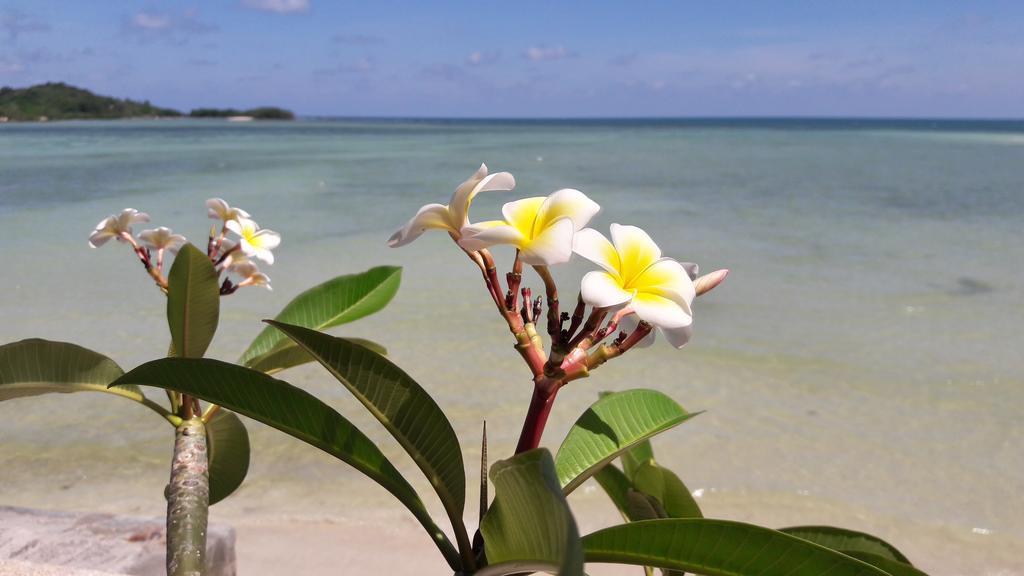 Papillon Resort Chaweng-stranden Eksteriør billede